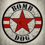Bomb Dog Icon